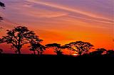 TANZANIA - Serengeti National Park - Alba - 08